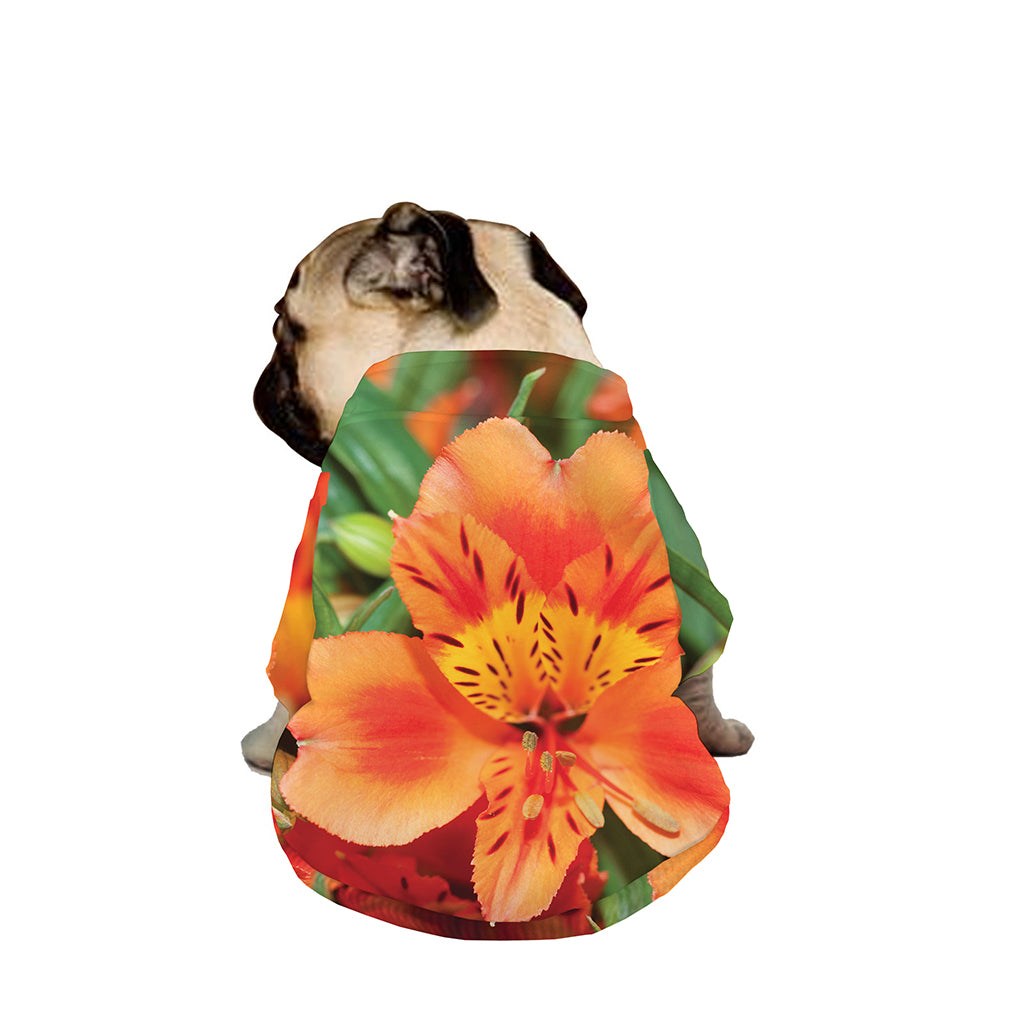 Orange Alstroemeria Print Dog Zip Up Jacket