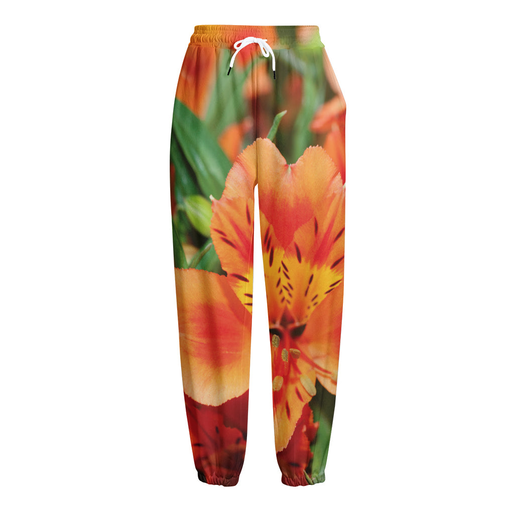 Orange Alstroemeria Print Fleece Lined Knit Pants