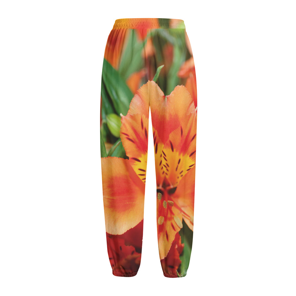 Orange Alstroemeria Print Fleece Lined Knit Pants