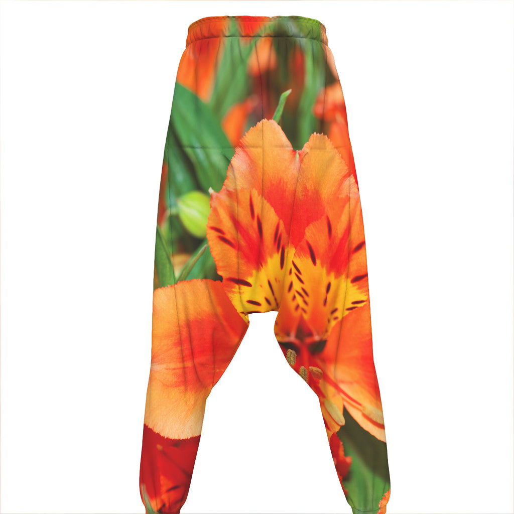 Orange Alstroemeria Print Hammer Pants