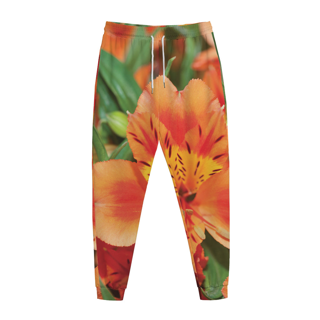 Orange Alstroemeria Print Jogger Pants