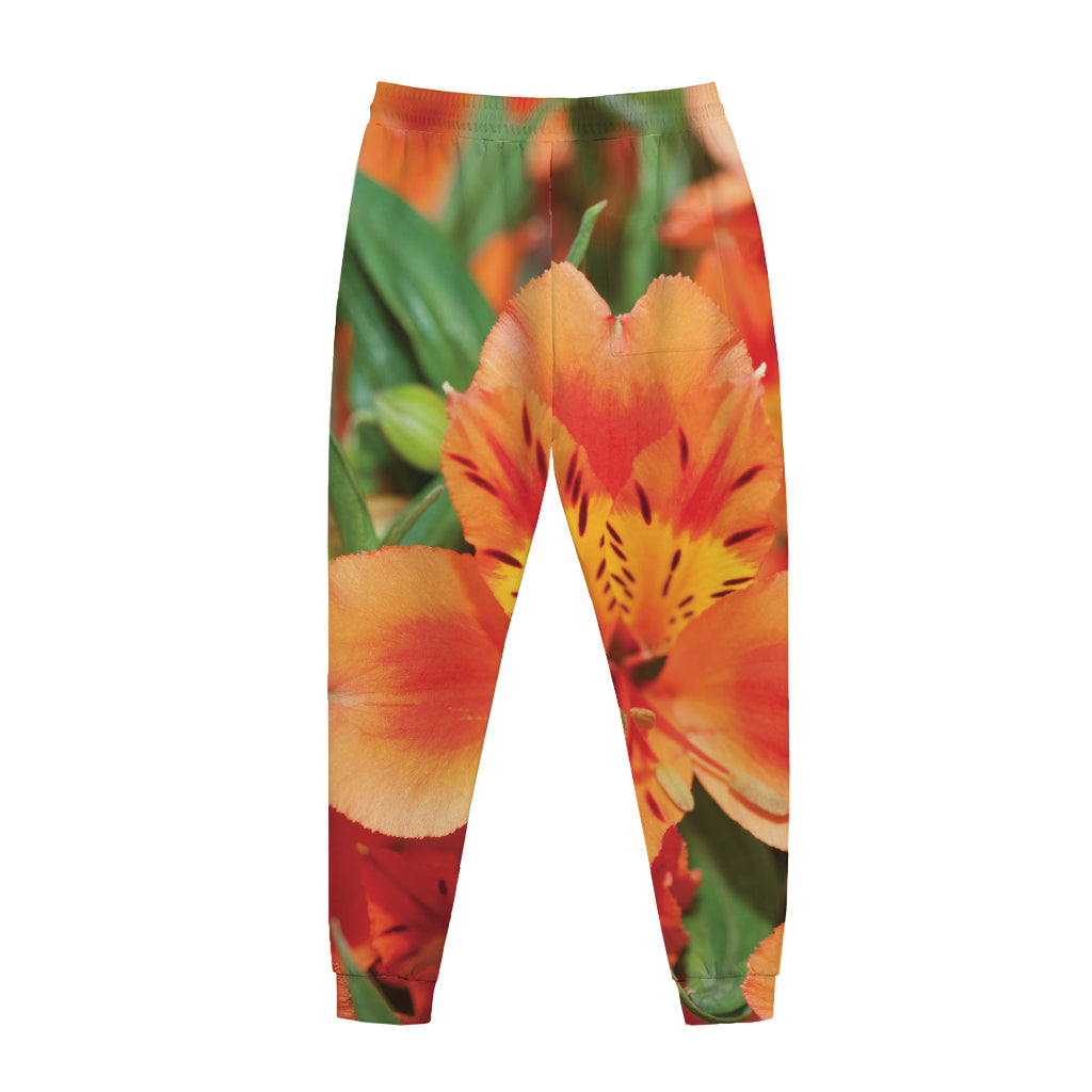 Orange Alstroemeria Print Jogger Pants