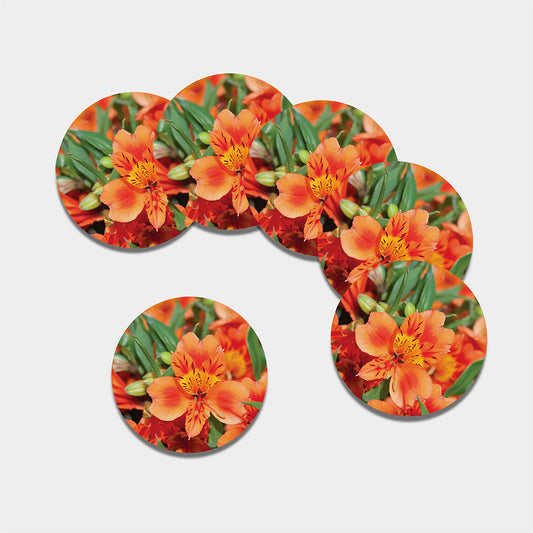 Orange Alstroemeria Print Leather Coaster Set
