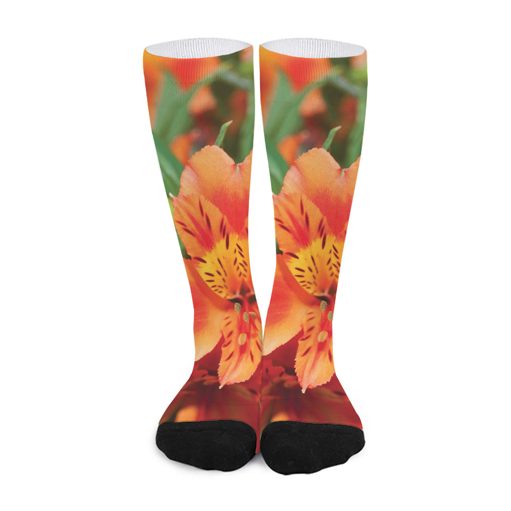 Orange Alstroemeria Print Long Socks