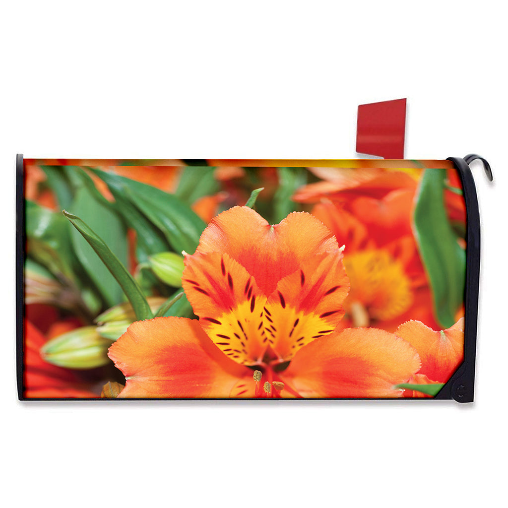 Orange Alstroemeria Print Mailbox Cover
