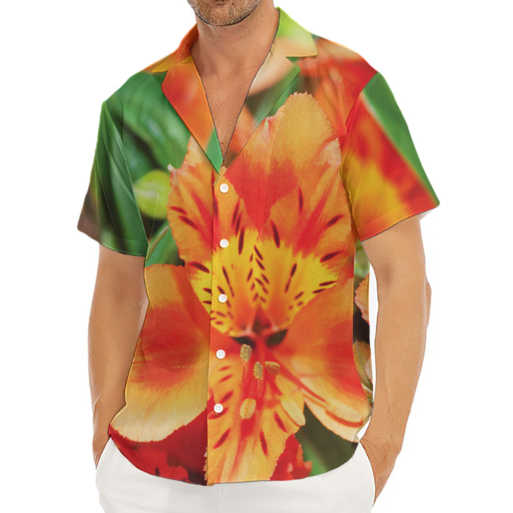 Orange Alstroemeria Print Men's Deep V-Neck Shirt