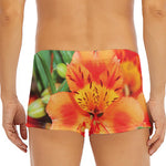 Orange Alstroemeria Print Men's Short Boxer Briefs