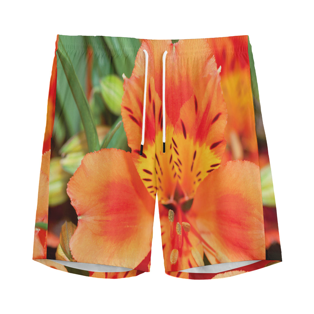 Orange Alstroemeria Print Men's Sports Shorts