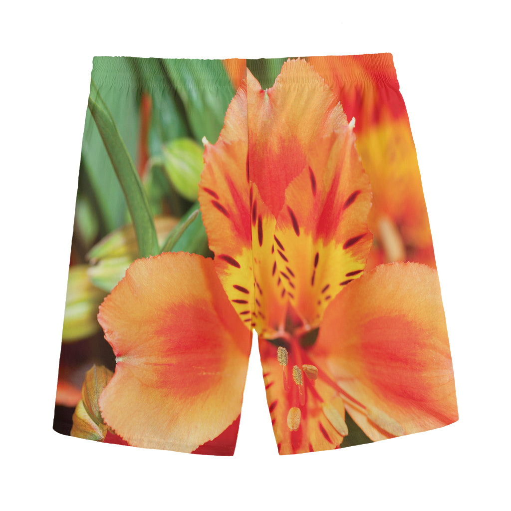 Orange Alstroemeria Print Men's Sports Shorts