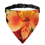 Orange Alstroemeria Print Over The Collar Dog Bandana