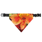 Orange Alstroemeria Print Over The Collar Dog Bandana