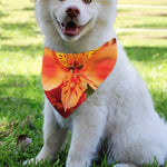Orange Alstroemeria Print Over The Collar Dog Bandana
