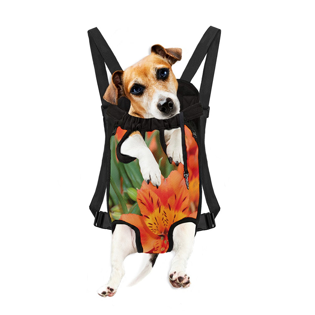 Orange Alstroemeria Print Pet Carrier Backpack