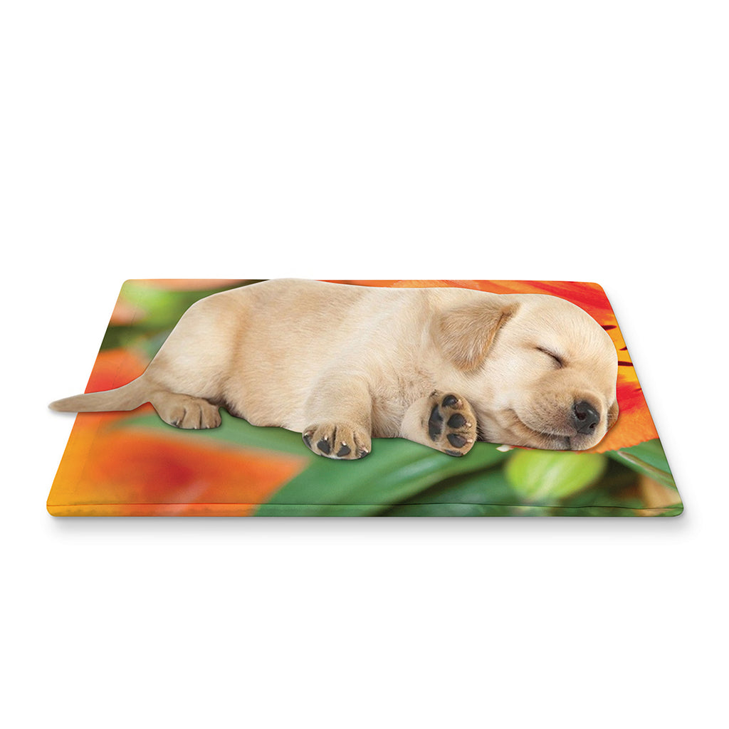 Orange Alstroemeria Print Pet Cooling Mat Cover