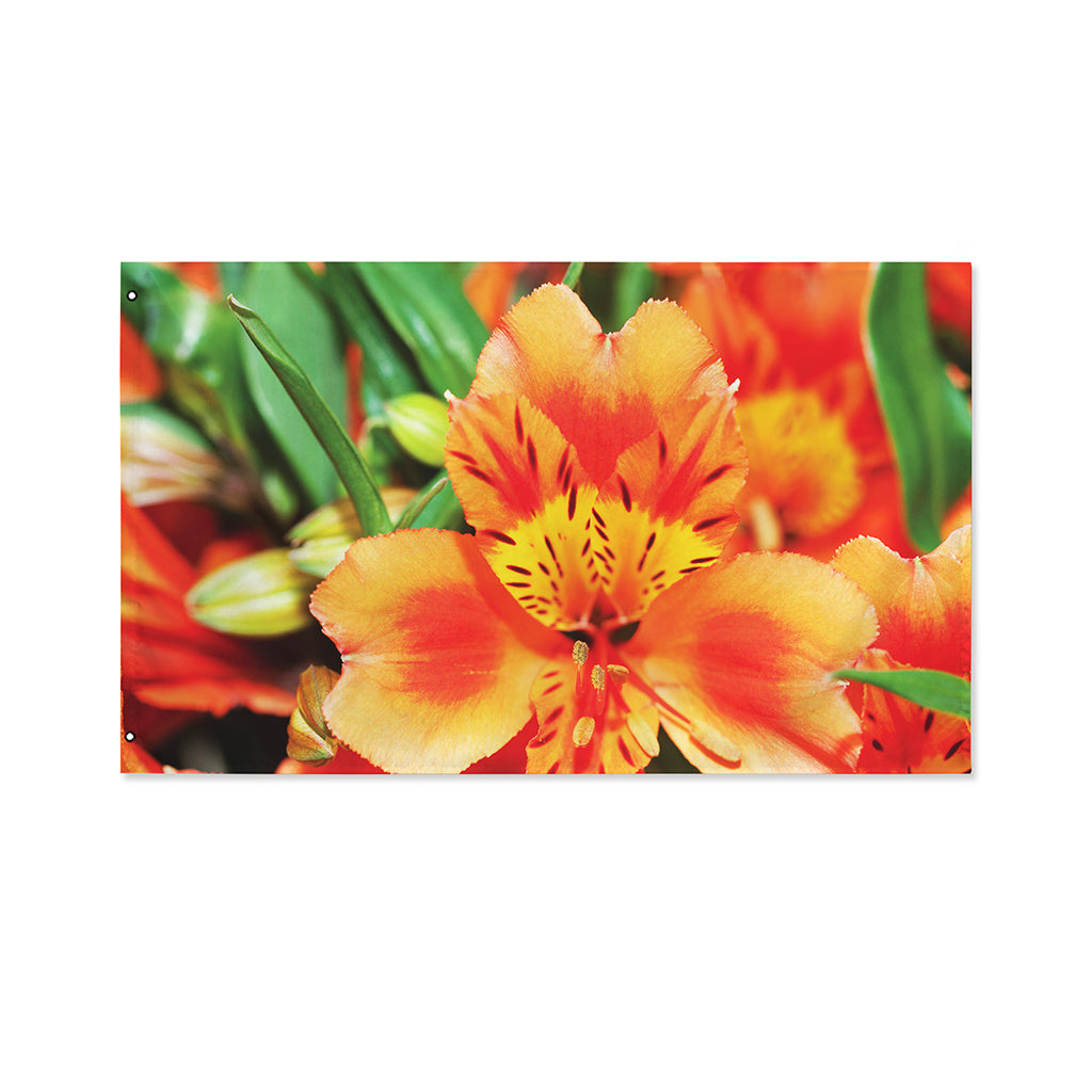 Orange Alstroemeria Print Polyester Flag