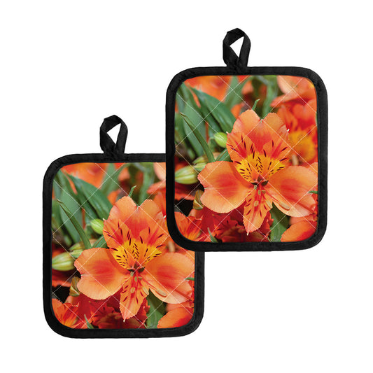Orange Alstroemeria Print Pot Holders