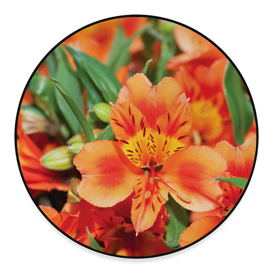 Orange Alstroemeria Print Round Floor Mat