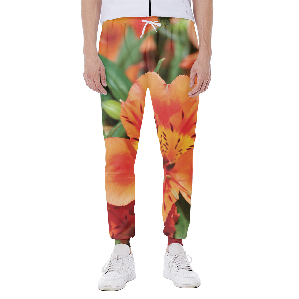 Orange Alstroemeria Print Scuba Joggers