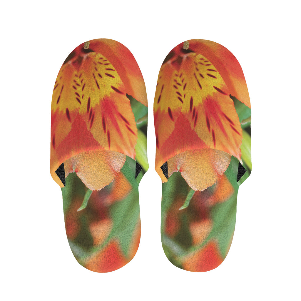 Orange Alstroemeria Print Slippers