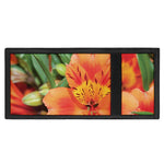 Orange Alstroemeria Print Trifold Wallet