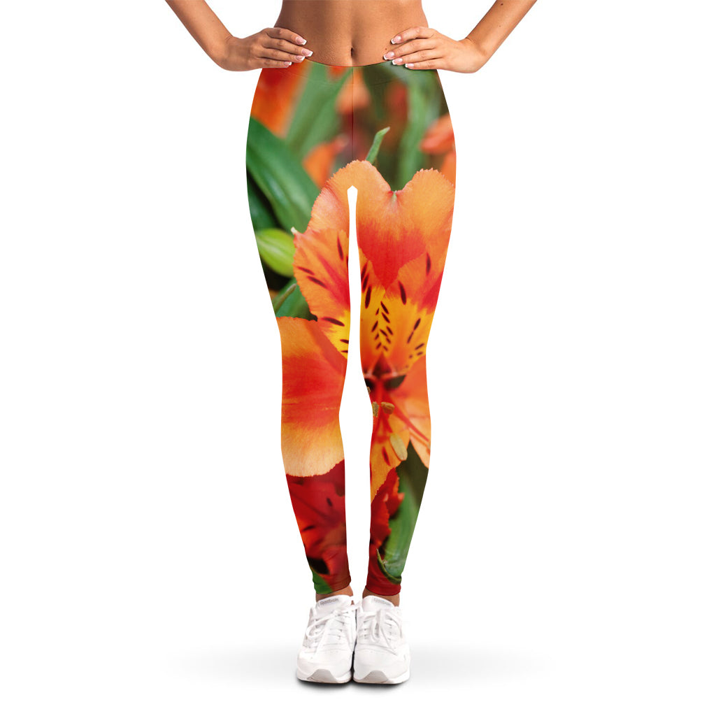 Orange Alstroemeria Print Women's Leggings