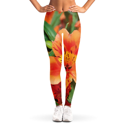Orange Alstroemeria Print Women's Leggings