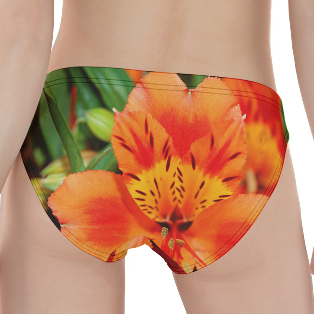 Orange Alstroemeria Print Women's Panties