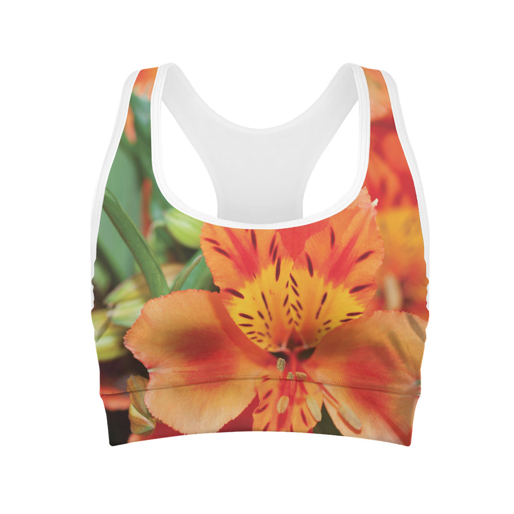 Orange Alstroemeria Print Women's Sports Bra