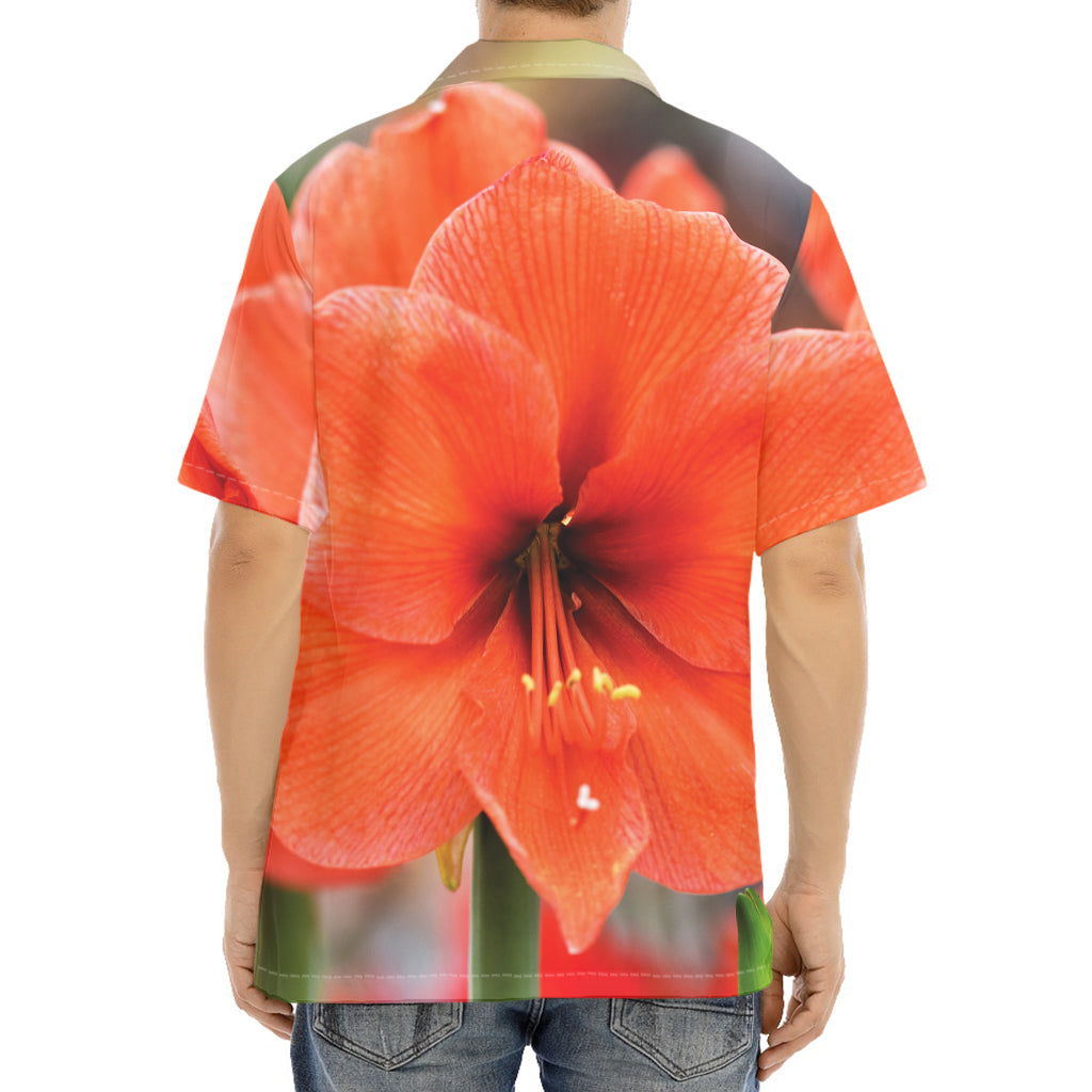 Orange Amaryllis Print Aloha Shirt