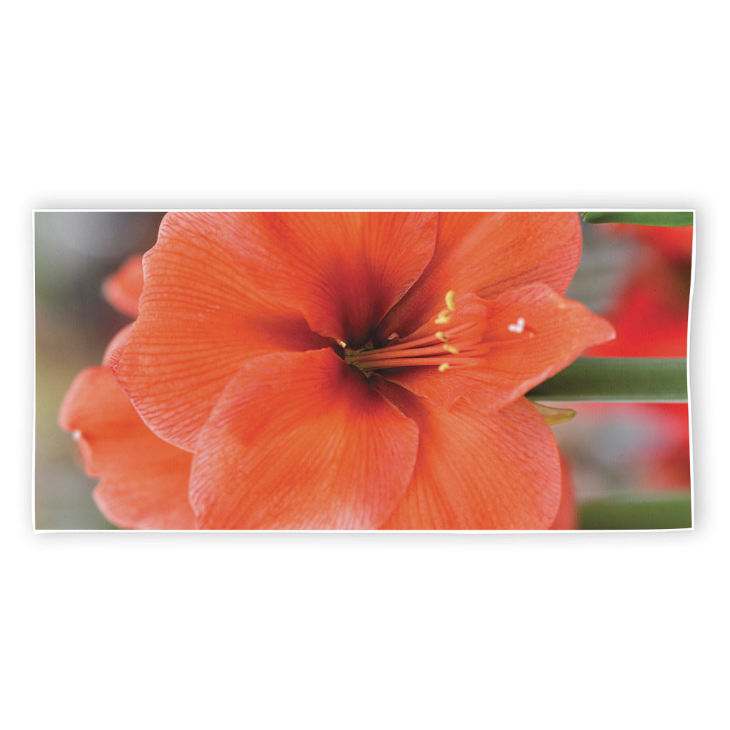 Orange Amaryllis Print Beach Towel