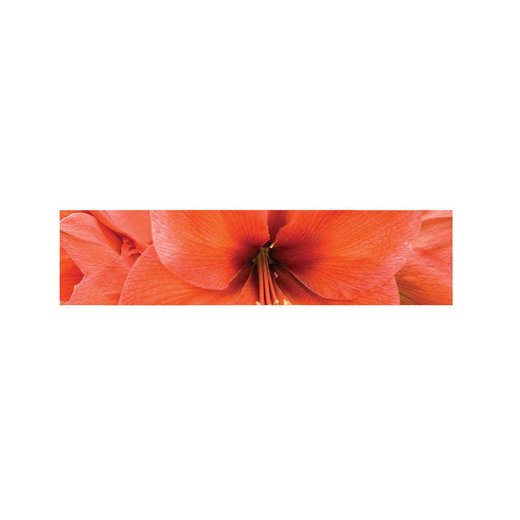 Orange Amaryllis Print Bed Runner
