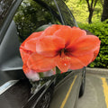 Orange Amaryllis Print Car Side Mirror Covers