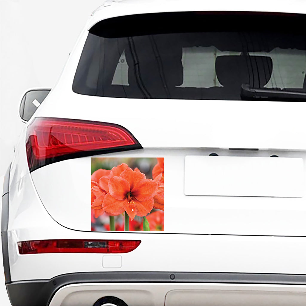 Orange Amaryllis Print Car Sticker