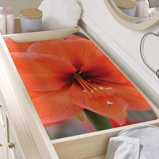 Orange Amaryllis Print Changing Pad Cover