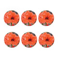 Orange Amaryllis Print Coaster Set