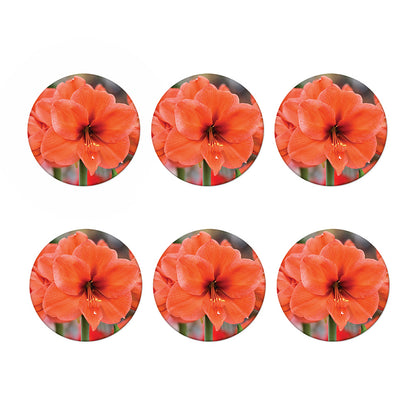 Orange Amaryllis Print Coaster Set