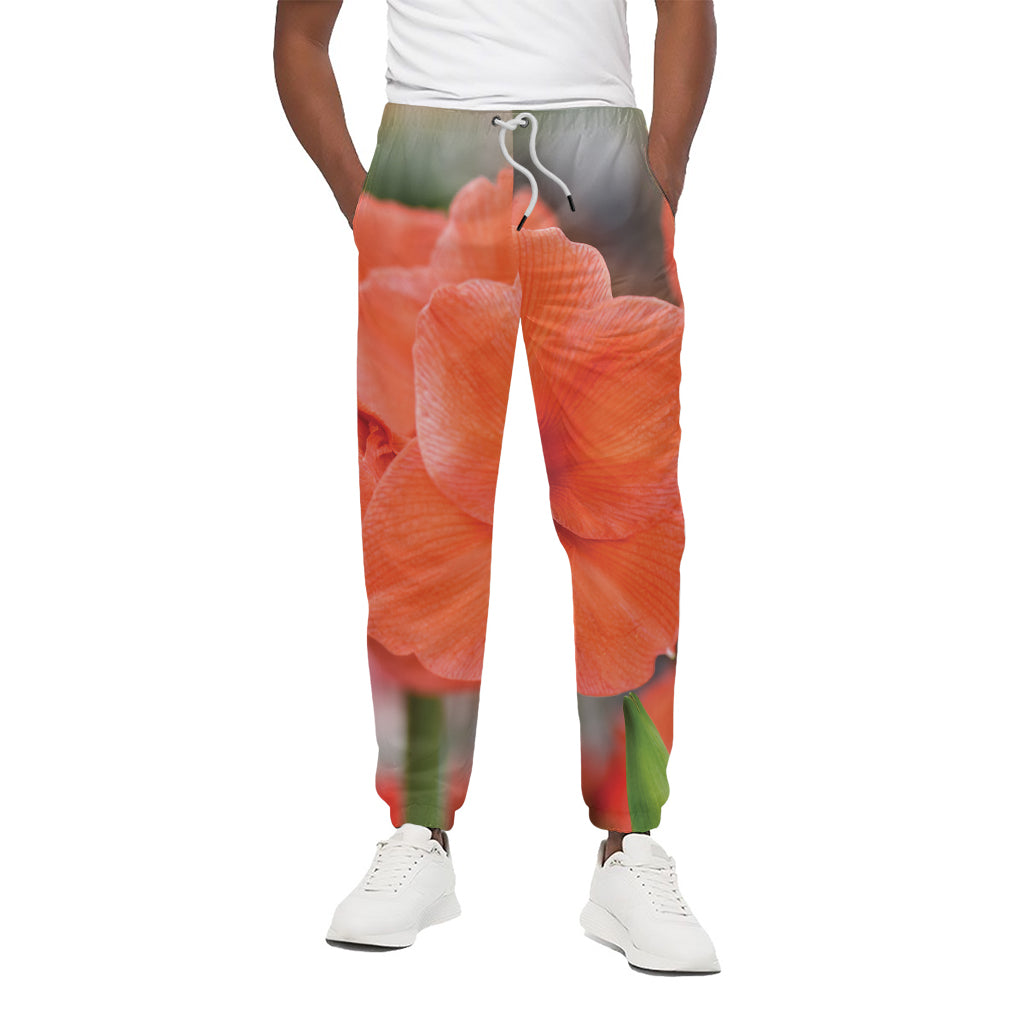 Orange Amaryllis Print Cotton Pants