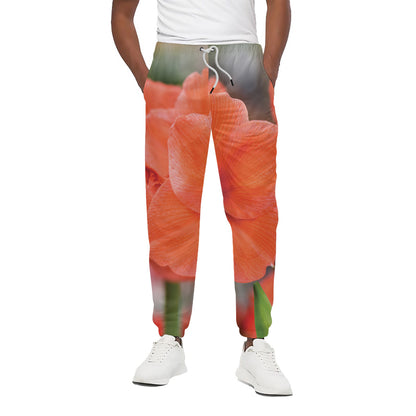 Orange Amaryllis Print Cotton Pants