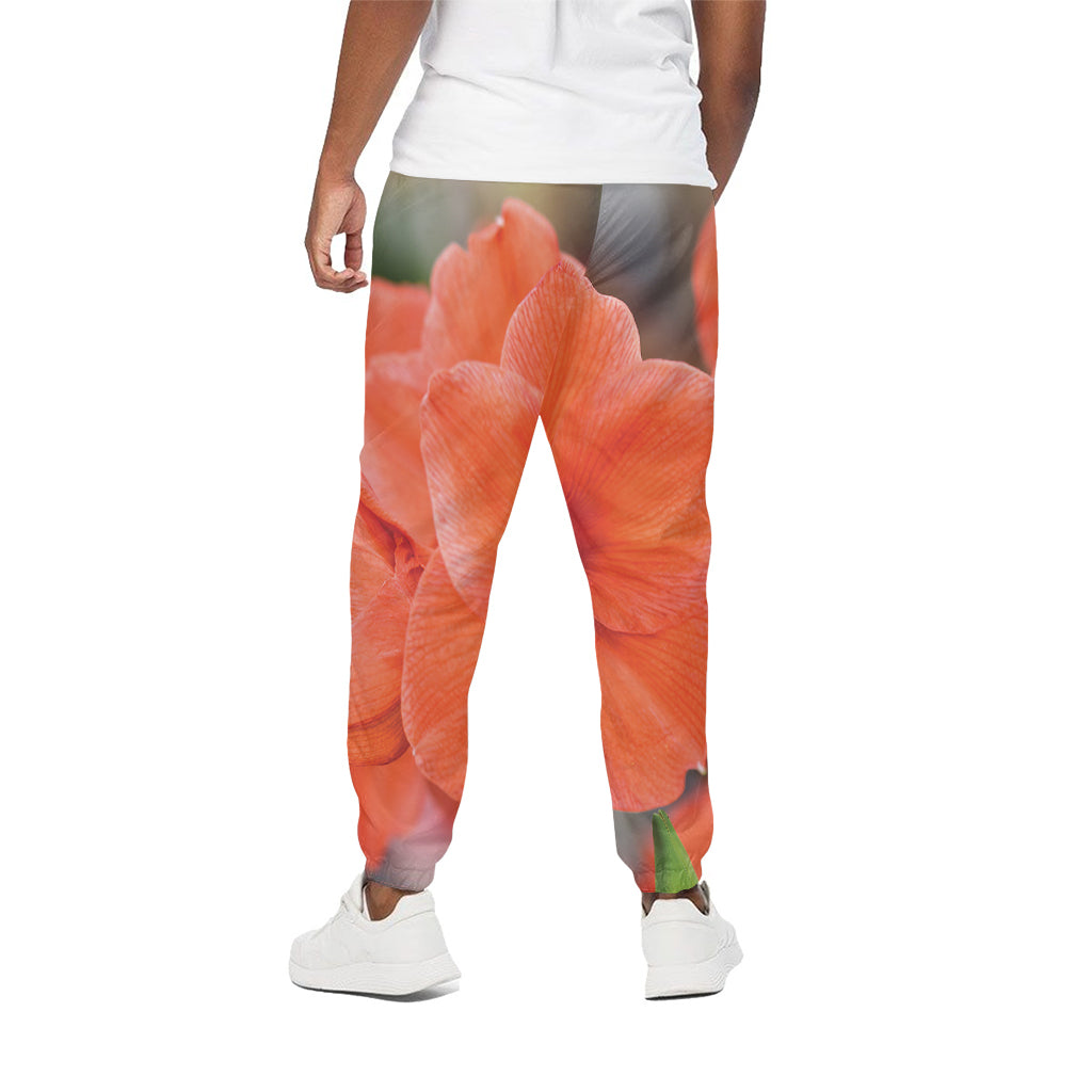 Orange Amaryllis Print Cotton Pants