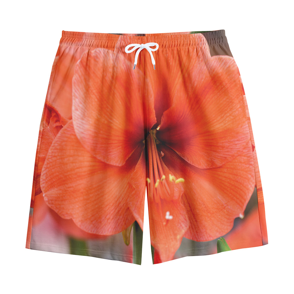 Orange Amaryllis Print Cotton Shorts