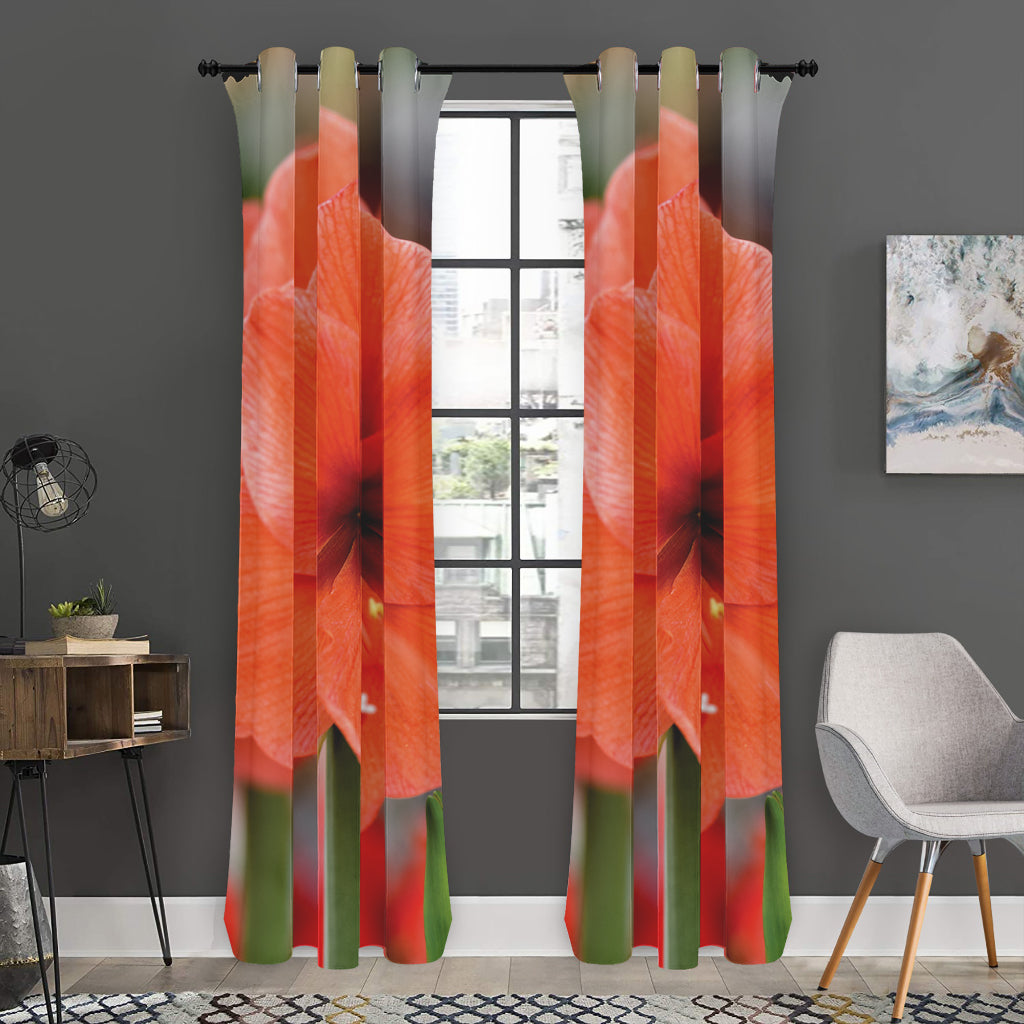 Orange Amaryllis Print Curtain