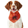 Orange Amaryllis Print Dog Bandana