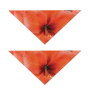 Orange Amaryllis Print Dog Bandana