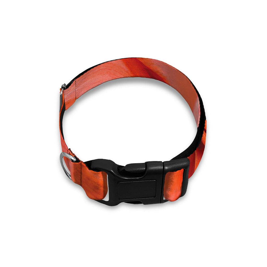 Orange Amaryllis Print Dog Collar