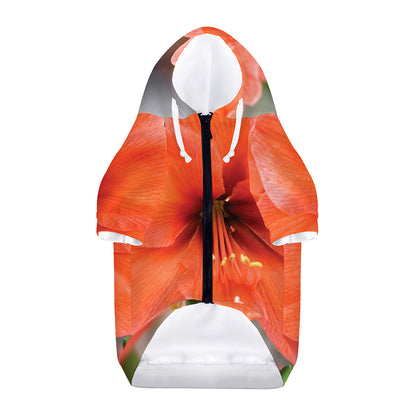 Orange Amaryllis Print Dog Zip Up Hoodie
