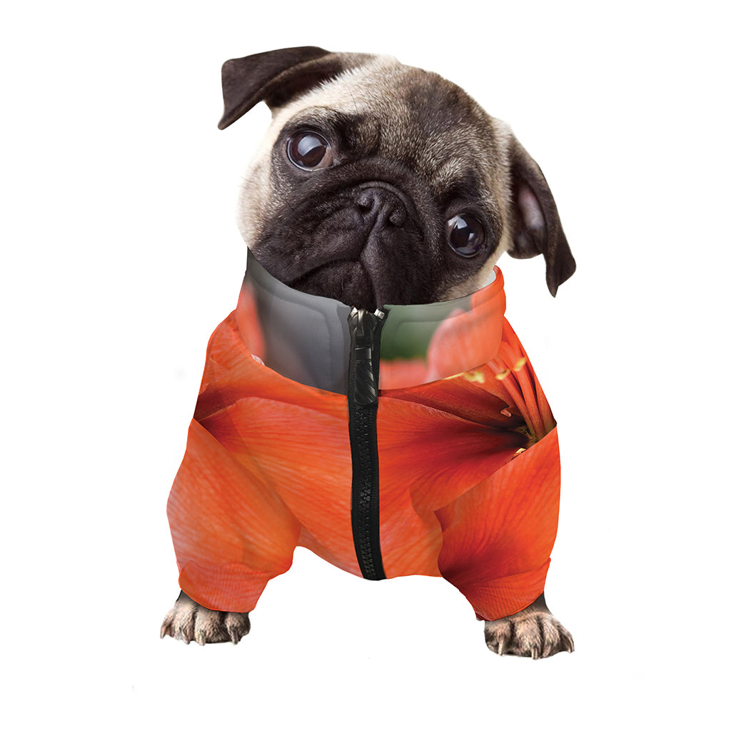 Orange Amaryllis Print Dog Zip Up Jacket