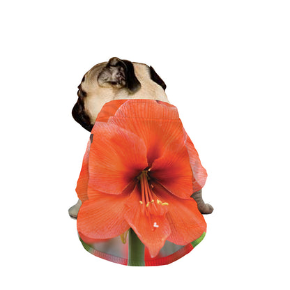 Orange Amaryllis Print Dog Zip Up Jacket