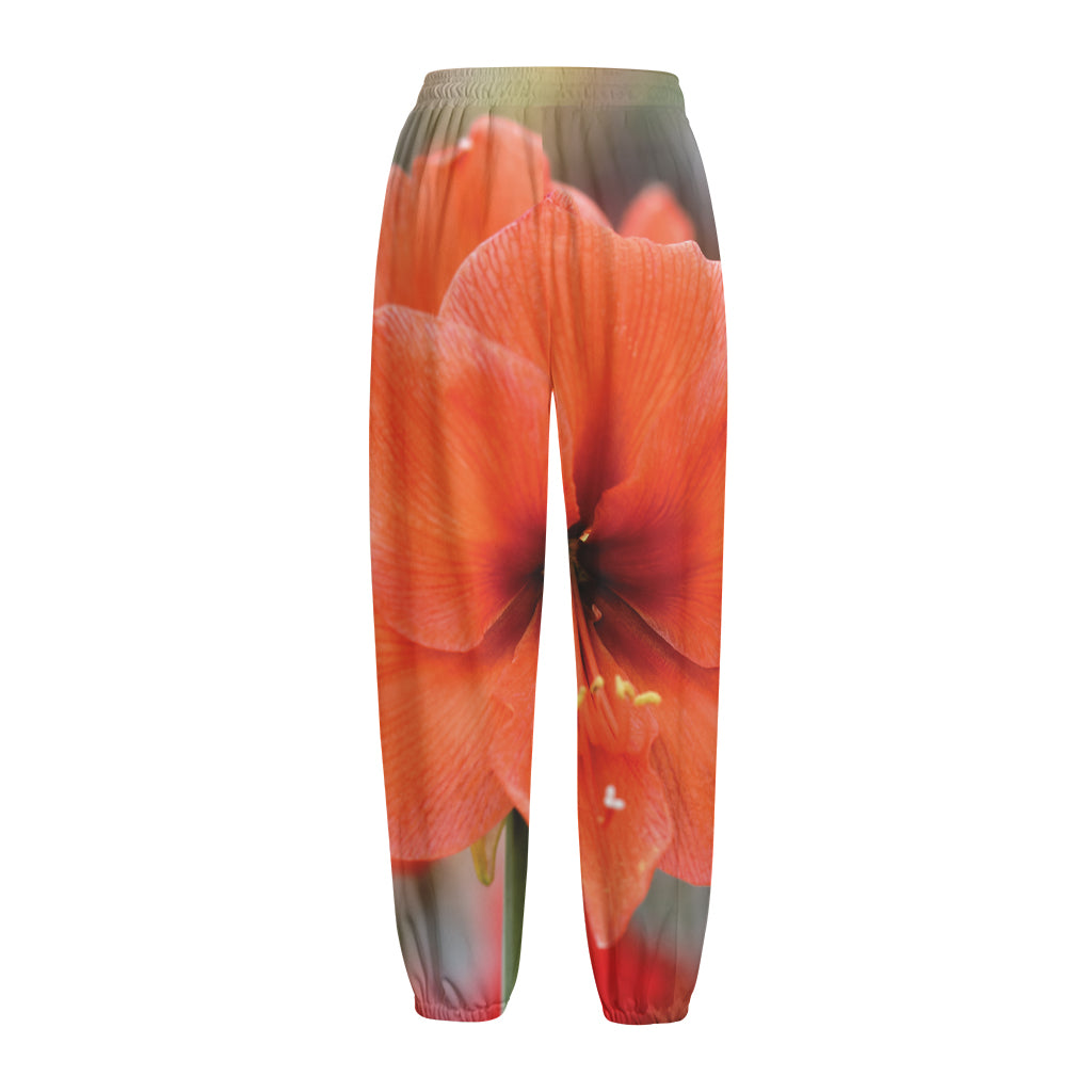 Orange Amaryllis Print Fleece Lined Knit Pants