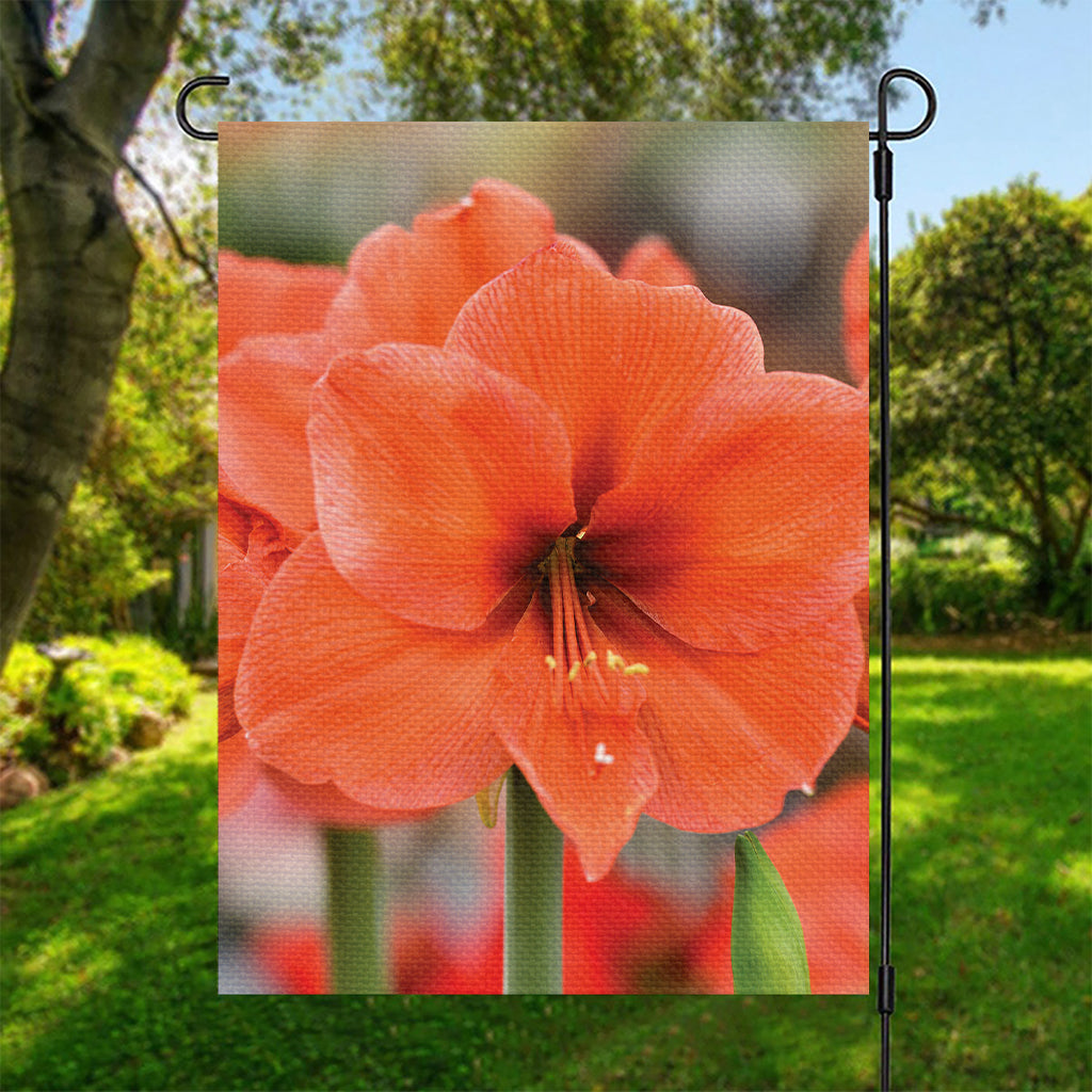 Orange Amaryllis Print Garden Flag