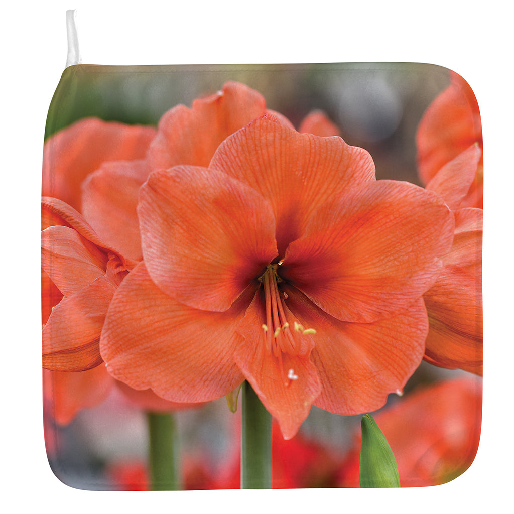 Orange Amaryllis Print Hand Towel